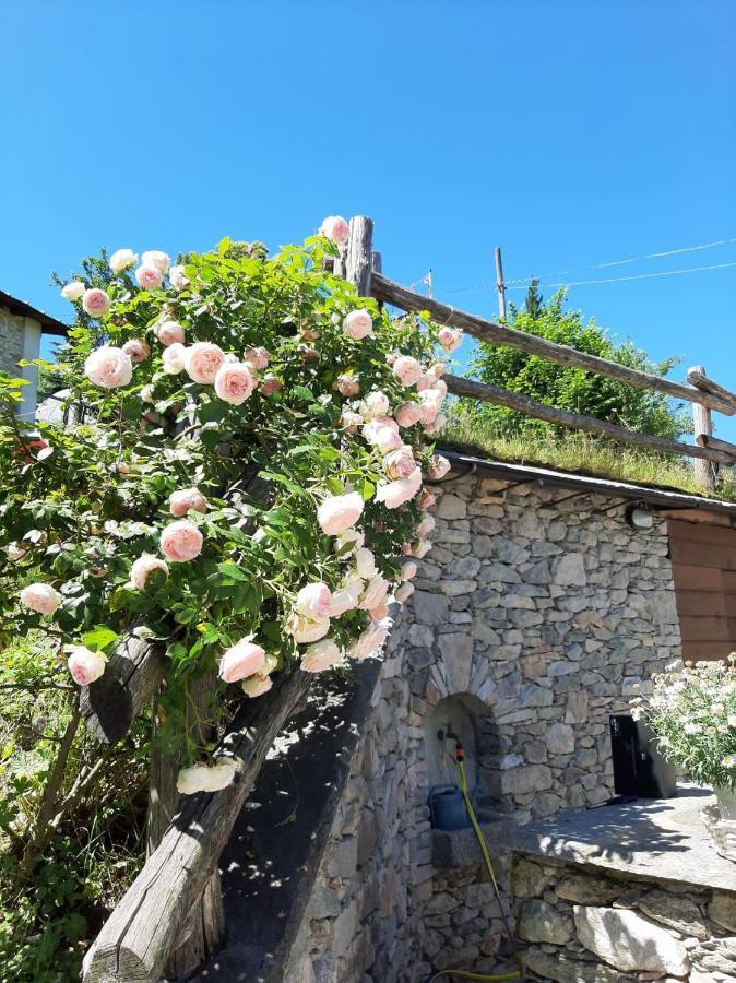Roccaforte Mondovì Affittacamere La Lea מראה חיצוני תמונה